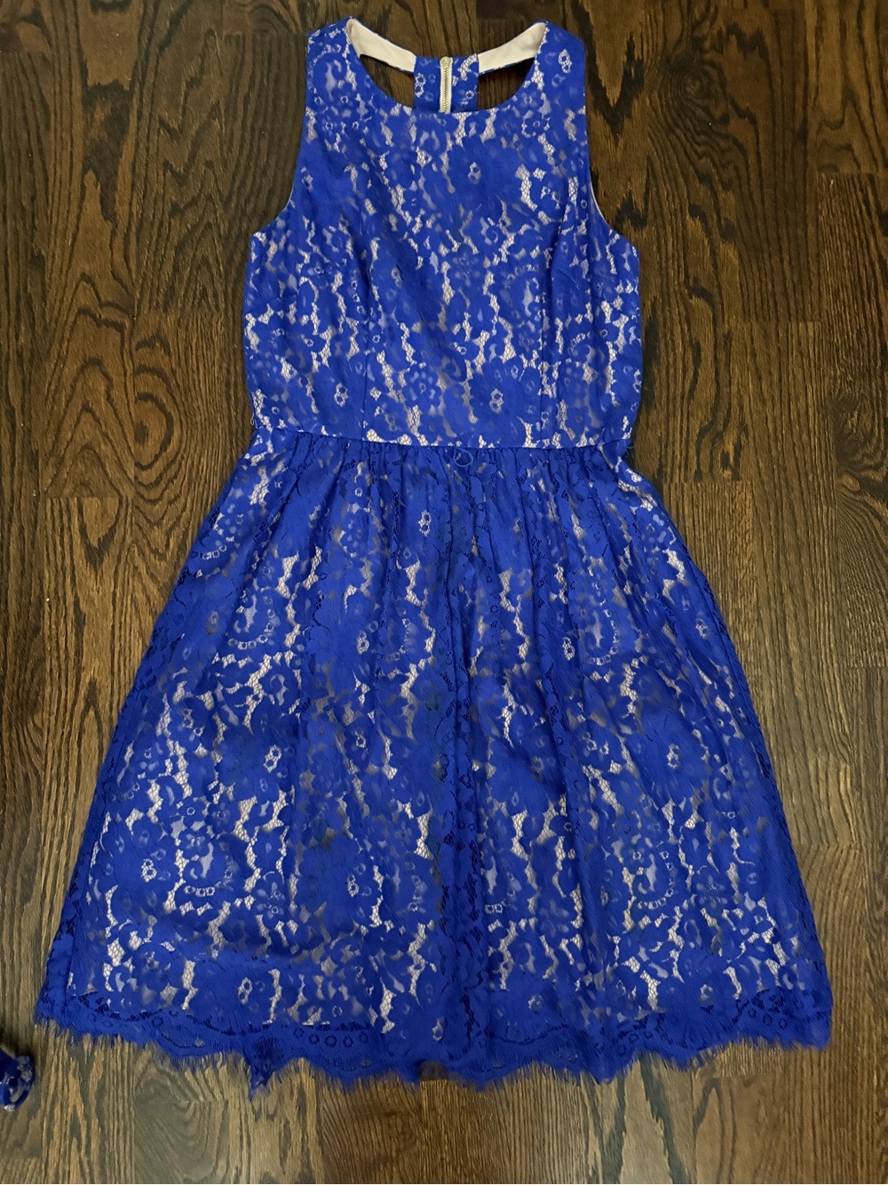 Eliza J Royal Blue Lace Fit-and-Flare Dress